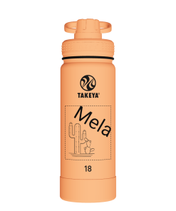 Actives Water Bottle With Spout Lid - customized